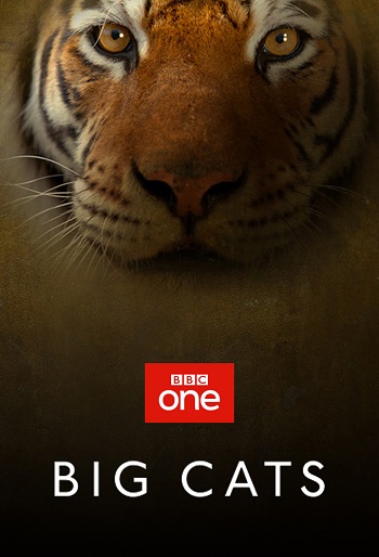 دانلود سریال Big Cats